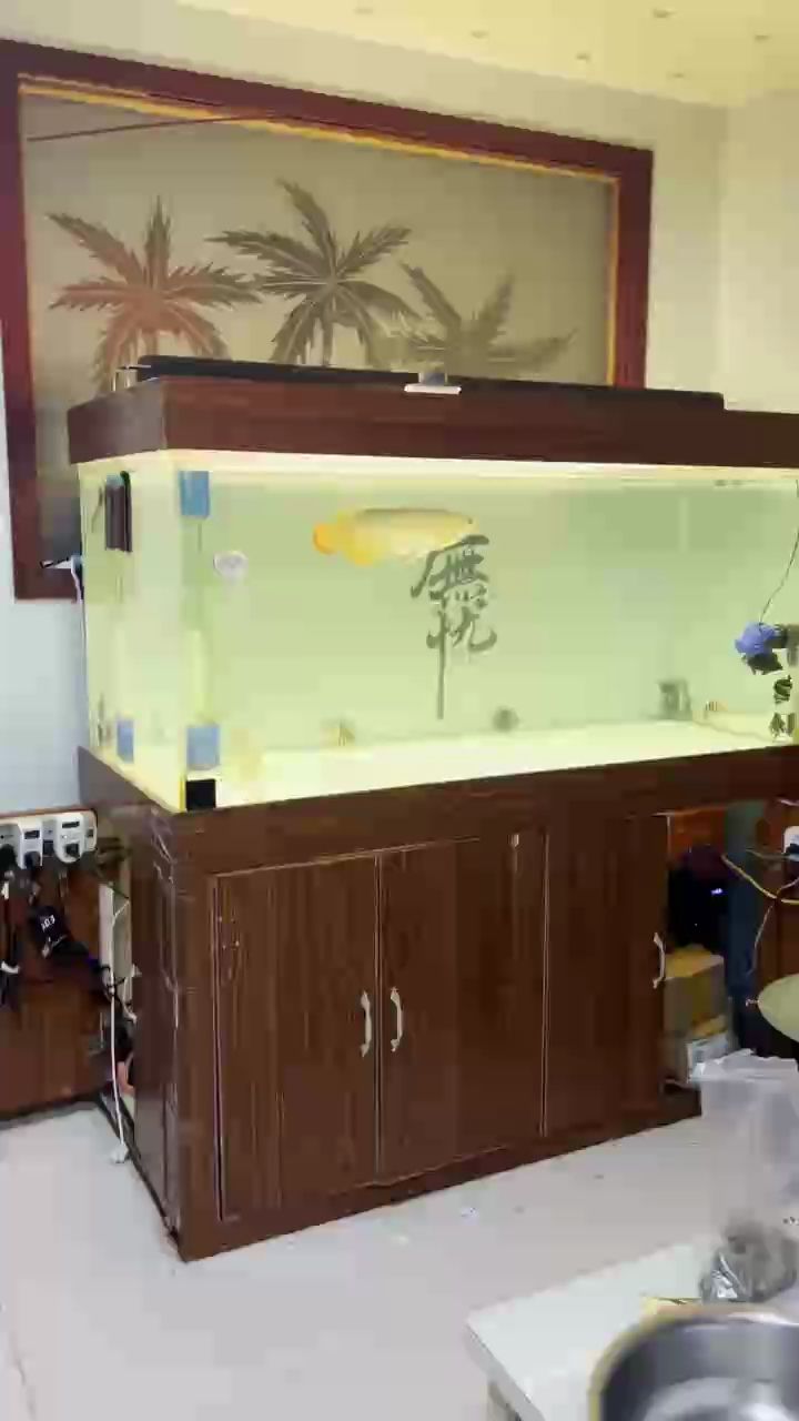 這個圈子魚友還多嗎？想問下40公分的紅龍用6700還是2700的色溫