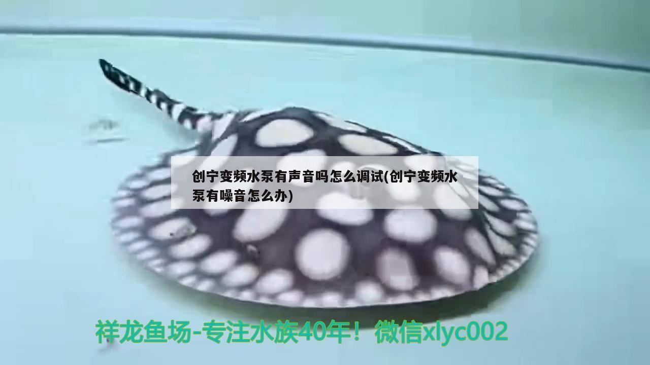 創寧變頻水泵有聲音嗎怎么調試(創寧變頻水泵有噪音怎么辦)