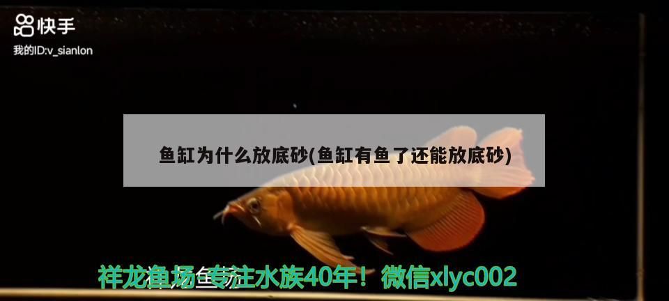 魚缸為什么放底砂(魚缸有魚了還能放底砂) 魚缸為什么放底砂(魚缸有魚了還能放底砂) 九鼎魚缸