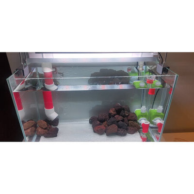 魚缸放在入戶門一側(cè)（魚缸放在入戶門一側(cè)好嗎）
