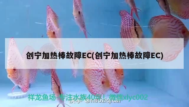 創寧加熱棒故障EC(創寧加熱棒故障EC)