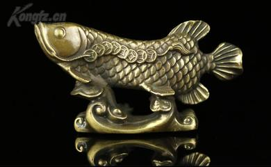 全球最貴的魚第一名，揭秘天價魚類的神秘世界，揭秘全球最貴魚類，天價魚類的神秘世界