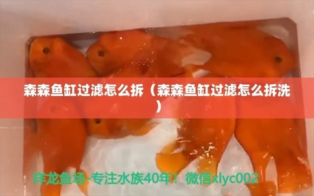 魚缸國際品牌排行（魚缸國際品牌排行榜前十名）