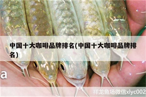 中國十大咖啡品牌排名(中國十大咖啡品牌排名) 中國十大咖啡品牌排名(中國十大咖啡品牌排名) 馬來西亞咖啡