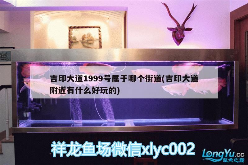 吉印大道1999號屬于哪個街道(吉印大道附近有什么好玩的)