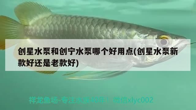 創星水泵和創寧水泵哪個好用點(創星水泵新款好還是老款好)