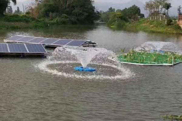 青魚石的神秘力量，作用與民間傳說探秘，青魚石，揭秘其神秘力量、實用功效與民間傳說