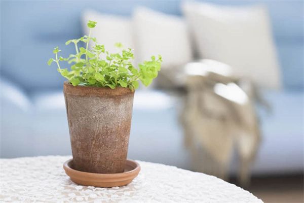 青石鎮(zhèn)宅有講究嗎？揭秘傳統(tǒng)風(fēng)水中的鎮(zhèn)宅文化與青石寓意，青石鎮(zhèn)宅的風(fēng)水奧秘，傳統(tǒng)寓意與現(xiàn)代應(yīng)用解析