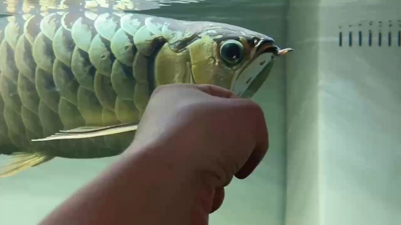 霸氣