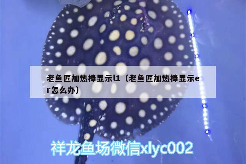 老魚(yú)匠加熱棒顯示l1（老魚(yú)匠加熱棒顯示er怎么辦）