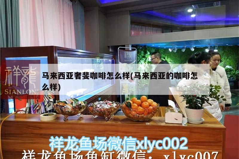 馬來西亞奢斐咖啡怎么樣(馬來西亞的咖啡怎么樣)