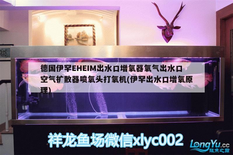 德國伊罕EHEIM出水口增氧器氧氣出水口空氣擴散器噴氧頭打氧機(伊罕出水口增氧原理)
