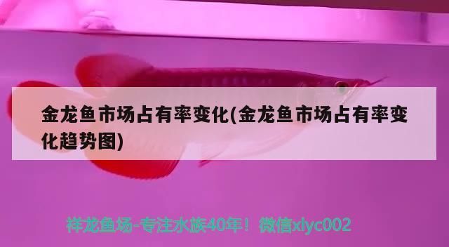 廣州上門回收舊魚缸價格查詢（廣州有收購舊金魚缸的嗎） 廣州上門回收舊魚缸價格查詢（廣州有收購舊金魚缸的嗎） 九鼎魚缸 第1張