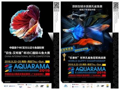 2024廣州水族展會時(shí)間地點(diǎn)：2024廣州水族展會時(shí)間和地點(diǎn)