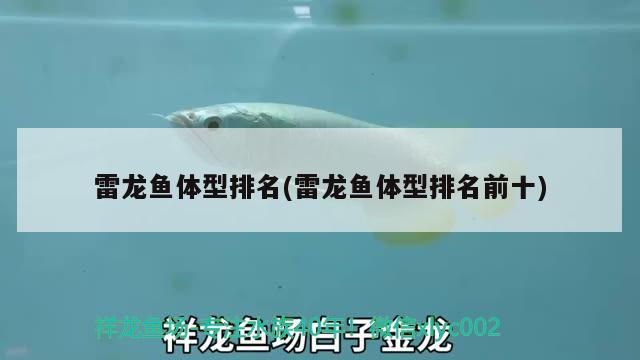 清豐哪里有賣魚缸的店（河南干辣椒產地哪里最出名）