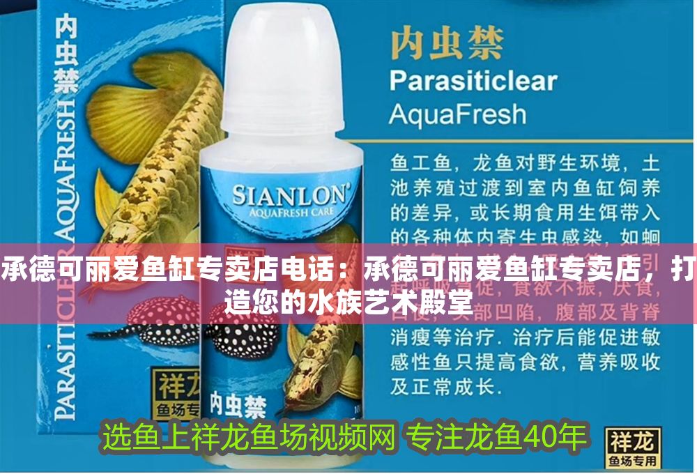 承德可麗愛魚缸專賣店電話：承德可麗愛魚缸專賣店，打造您的水族藝術(shù)殿堂