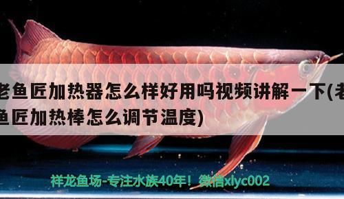 老魚匠加熱器怎么樣好用嗎視頻講解一下(老魚匠加熱棒怎么調節溫度)