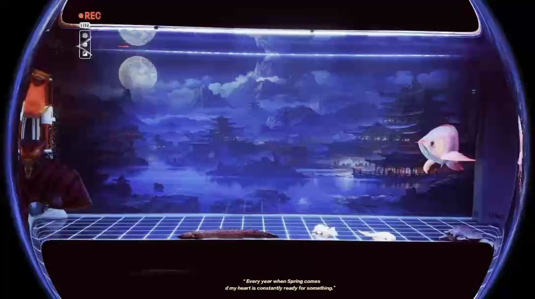 快五年了