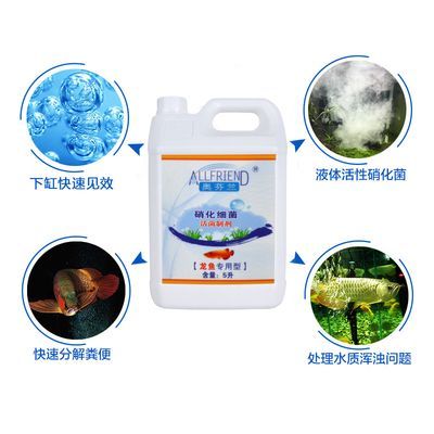金龍魚用什么硝化細(xì)菌vs祥龍魚場(chǎng)：探討金龍魚與祥龍魚場(chǎng)的硝化細(xì)菌使用