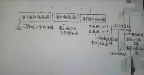 金龍魚用什么硝化細(xì)菌vs祥龍魚場(chǎng)：探討金龍魚與祥龍魚場(chǎng)的硝化細(xì)菌使用