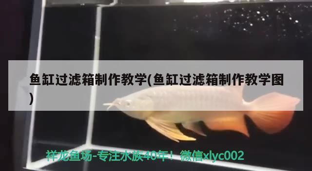 魚缸過濾箱制作教學(魚缸過濾箱制作教學圖)