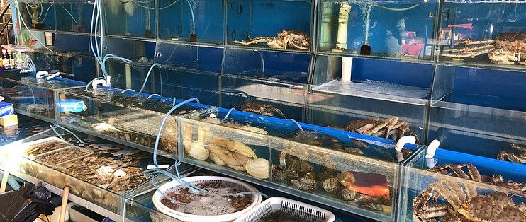 臺(tái)灣水族批發(fā)市場(chǎng)地址電話是多少（臺(tái)灣水族批發(fā)市場(chǎng)地址電話是多少啊）
