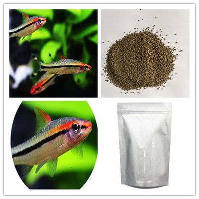 七彩銀龍魚養多久變色？揭秘變色周期與養護技巧，七彩銀龍魚變色周期揭秘，從幼魚到成魚的養護指南