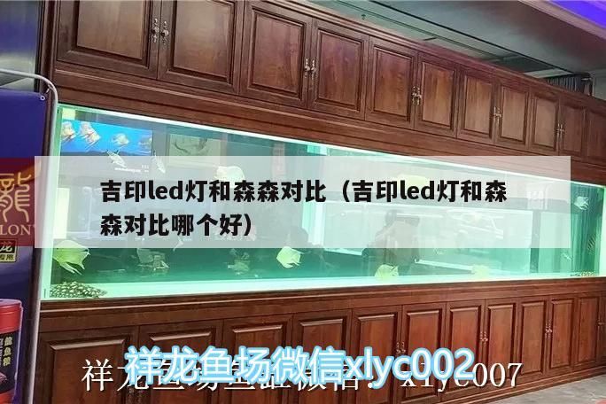 吉印led燈和森森對比(吉印led燈和森森對比哪個好) 吉印水族 第2張 吉印led燈和森森對比(吉印led燈和森森對比哪個好) 吉印led燈和森森對比(吉印led燈和森森對比哪個好) 吉印水族 第2張