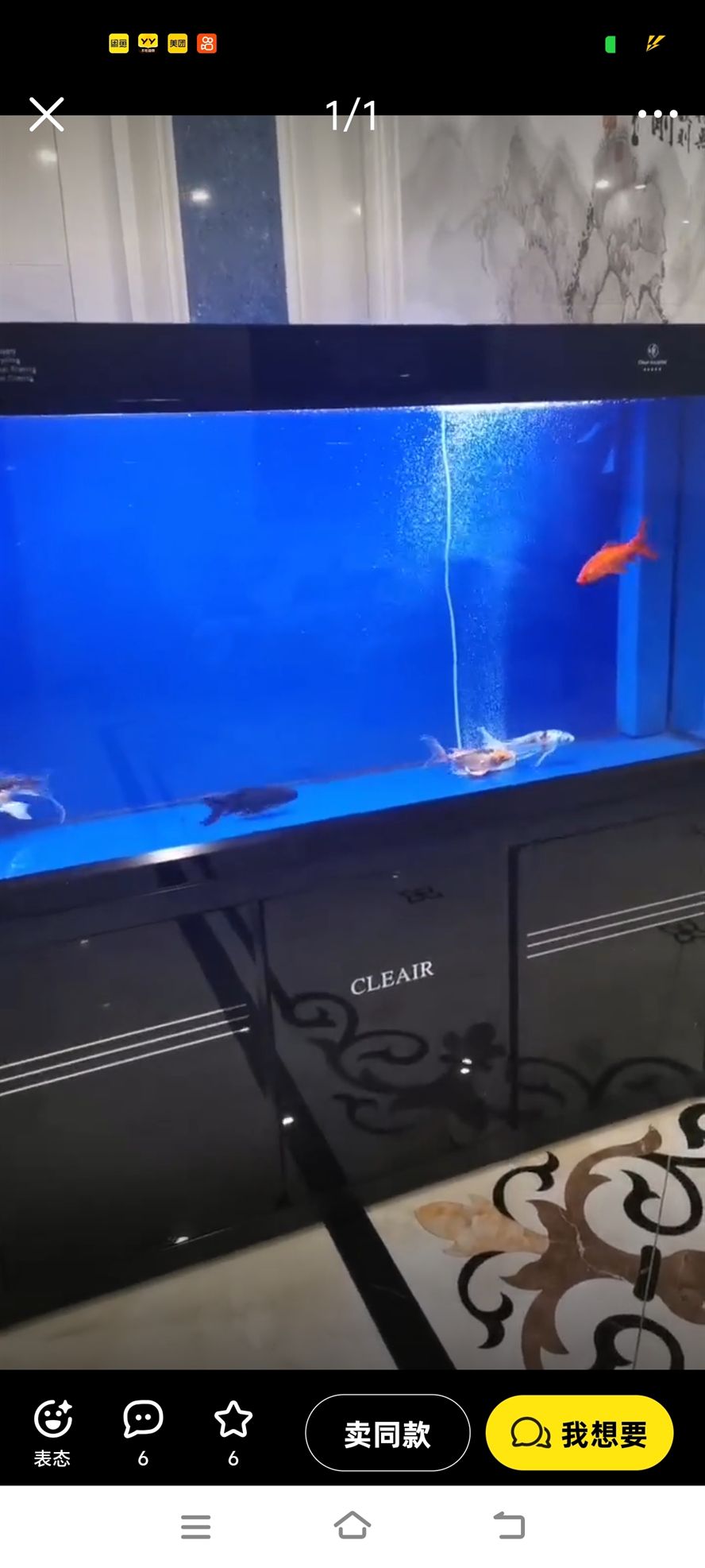 大魚