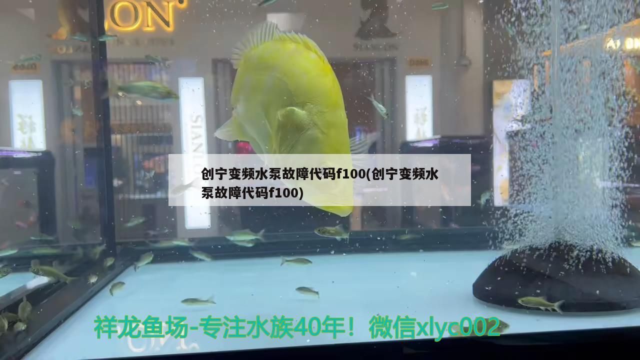 創(chuàng)寧變頻水泵故障代碼f100(創(chuàng)寧變頻水泵故障代碼f100)