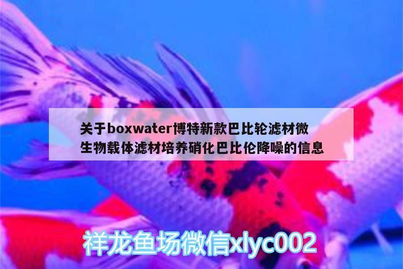 關于boxwater博特新款巴比輪濾材微生物載體濾材培養硝化巴比倫降噪的信息