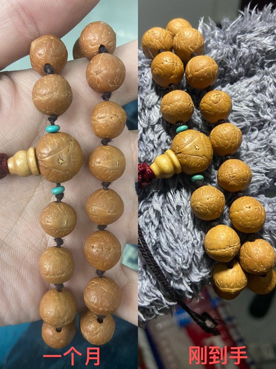 滿月啦 上手嘍 滿月啦 上手嘍 龍魚論壇 第1張