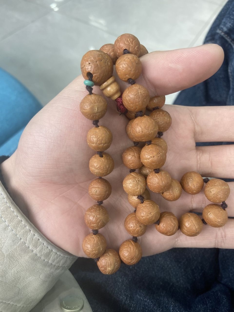 滿月啦 上手嘍 滿月啦 上手嘍 龍魚論壇 第3張