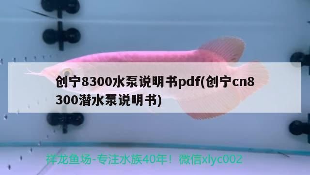 創寧8300水泵說明書pdf(創寧cn8300潛水泵說明書)