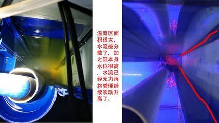 森森干濕分離怎么放過濾棉 森森干濕分離怎么放過濾棉 森森魚缸