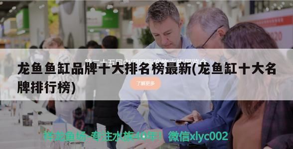 龍魚魚缸品牌十大排名榜最新(龍魚缸十大名牌排行榜)