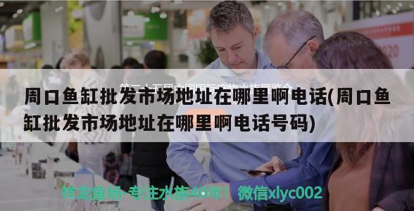 周口魚缸批發市場地址在哪里啊電話(周口魚缸批發市場地址在哪里啊電話號碼)