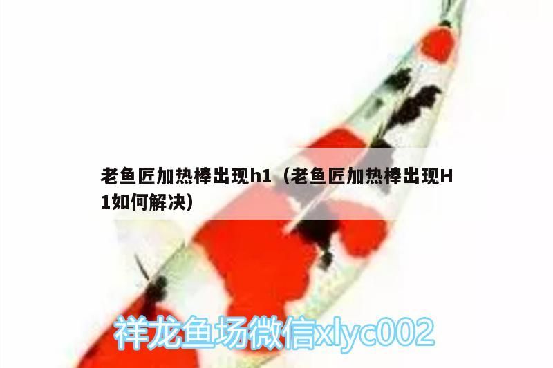 老魚匠加熱棒出現(xiàn)h1（老魚匠加熱棒出現(xiàn)H1如何解決）