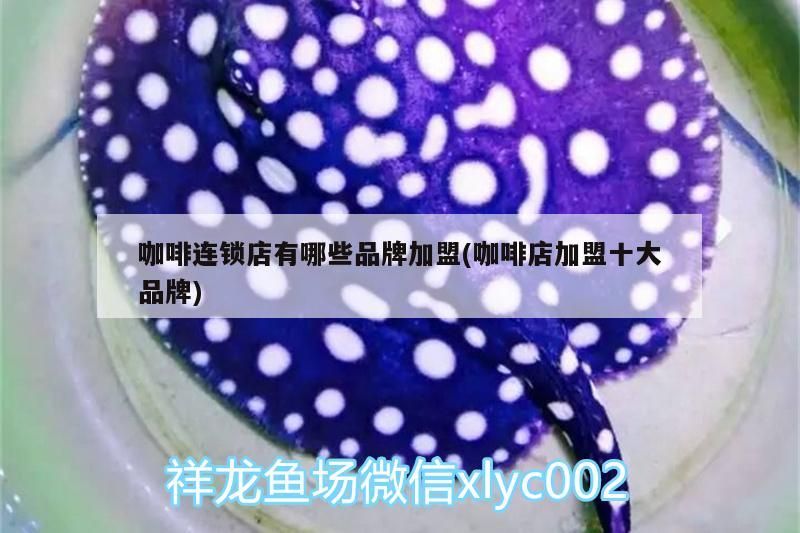 咖啡連鎖店有哪些品牌加盟(咖啡店加盟十大品牌)