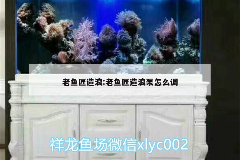 老魚匠造浪:老魚匠造浪泵怎么調