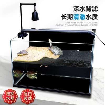 養五條虎魚需要多大的缸：養五條虎魚需要一個至少長1.5米、寬60公分和60公分的魚缸