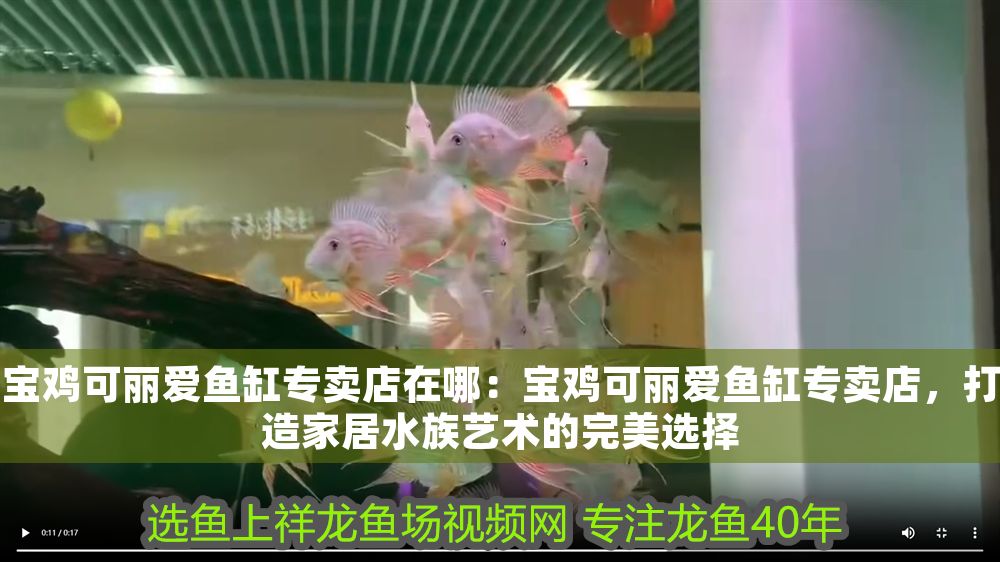 寶雞可麗愛魚缸專賣店在哪：寶雞可麗愛魚缸專賣店，打造家居水族藝術的完美選擇