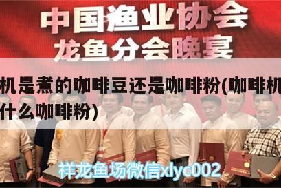 咖啡機是煮的咖啡豆還是咖啡粉(咖啡機煮咖啡用什么咖啡粉)