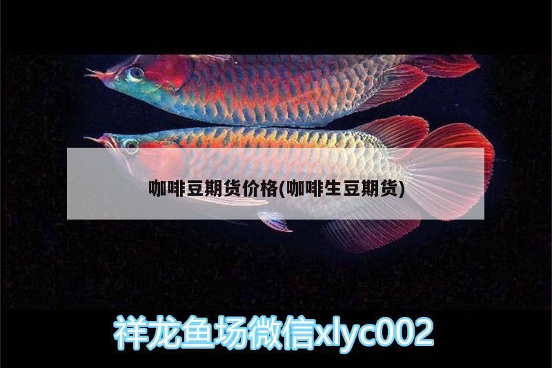 咖啡豆期貨價格(咖啡生豆期貨)