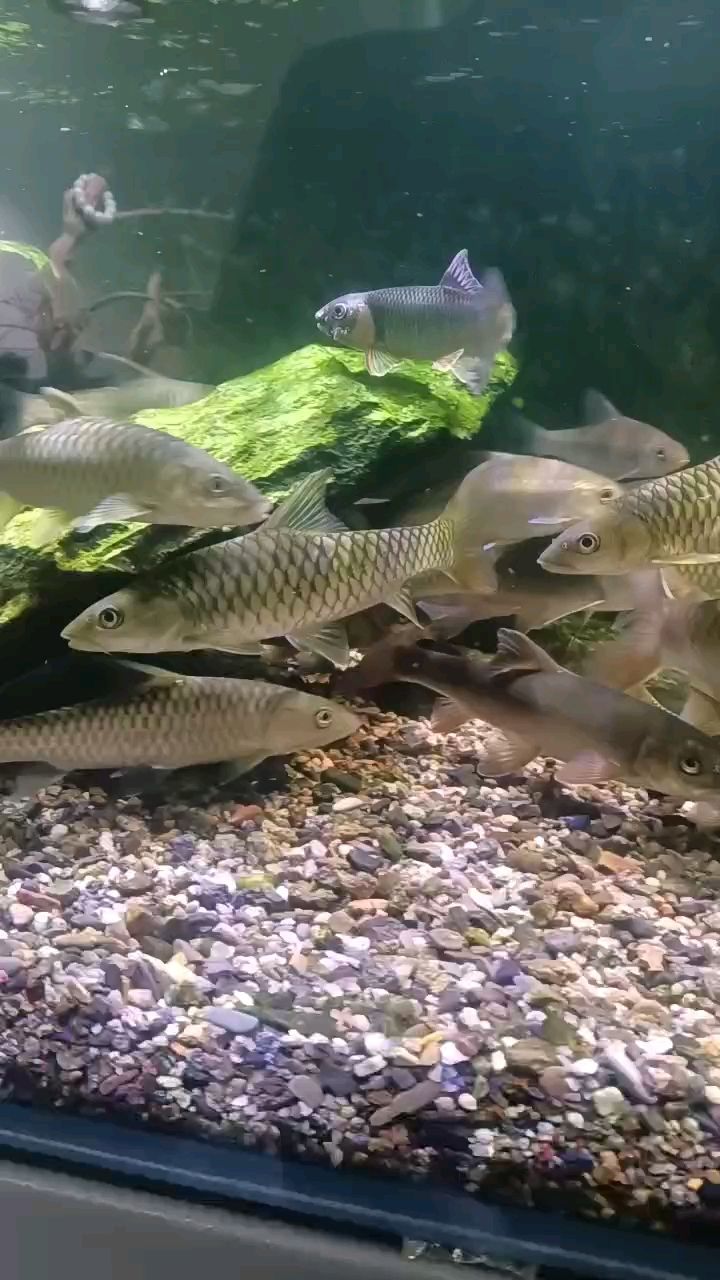 越來越漂亮了