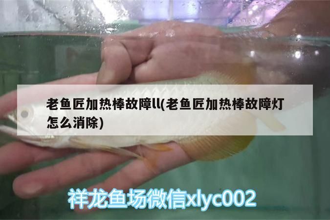 老魚匠加熱棒故障ll(老魚匠加熱棒故障燈怎么消除)