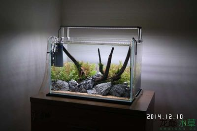 60的魚缸多少水草泥：60的魚缸需要的水草泥量取決于多個因素