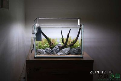 60的魚缸多少水草泥：60的魚缸需要的水草泥量取決于多個因素