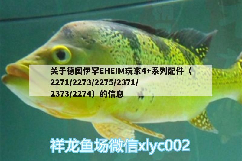 關于德國伊罕EHEIM玩家4+系列配件（2271/2273/2275/2371/2373/2274）的信息