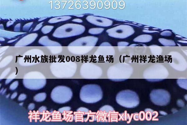 廣州水族批發008祥龍魚場(廣州祥龍漁場) vs祥龍魚場 第1張 廣州水族批發008祥龍魚場(廣州祥龍漁場) 廣州水族批發008祥龍魚場(廣州祥龍漁場) vs祥龍魚場 第1張